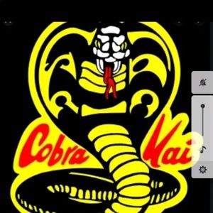 Meet your Posher, Danilo